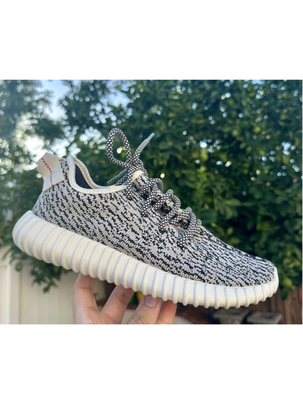 Yeezy Boost 350 Turtle Dove- AQ4832